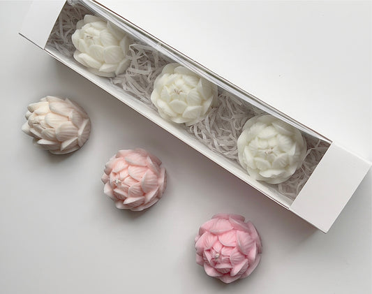 Lotus Flower Pack